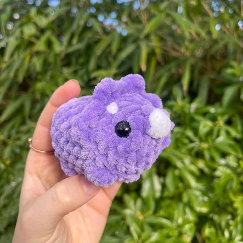Mini Triceratops