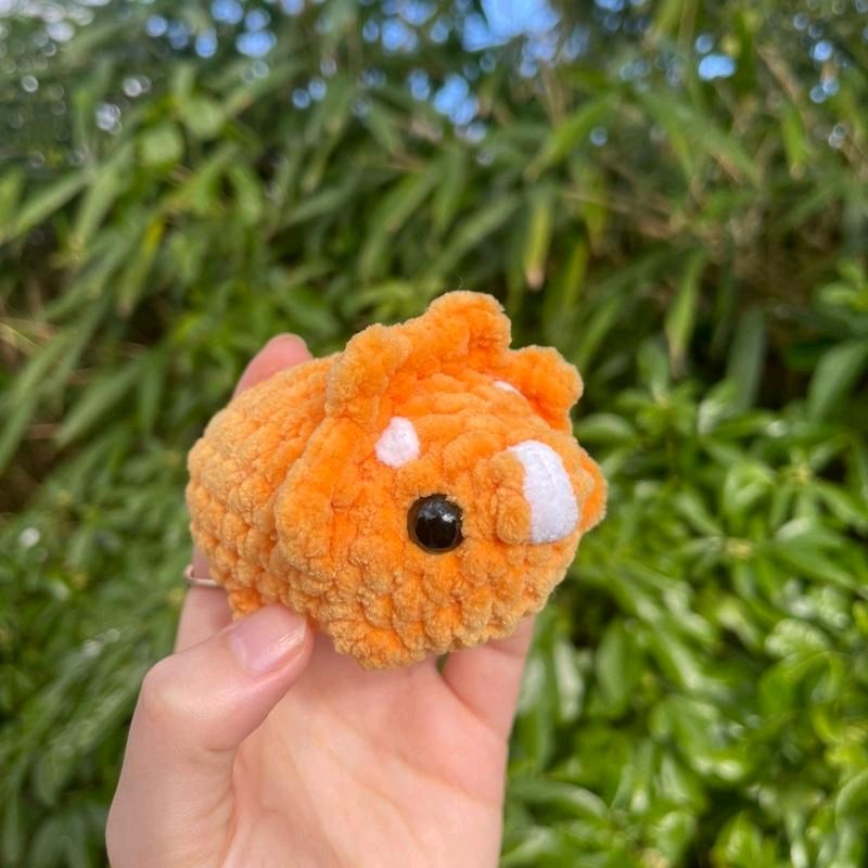 Mini Triceratops