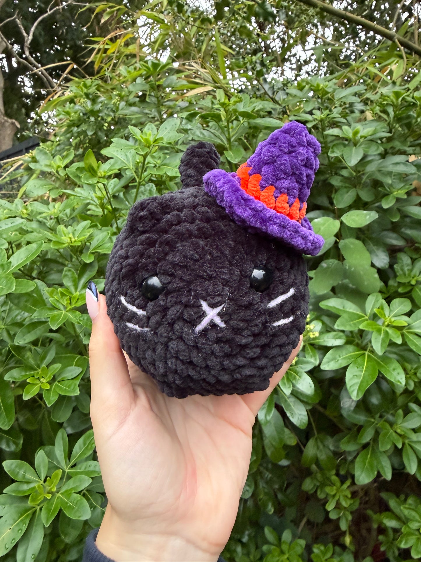 Witch loaf cat