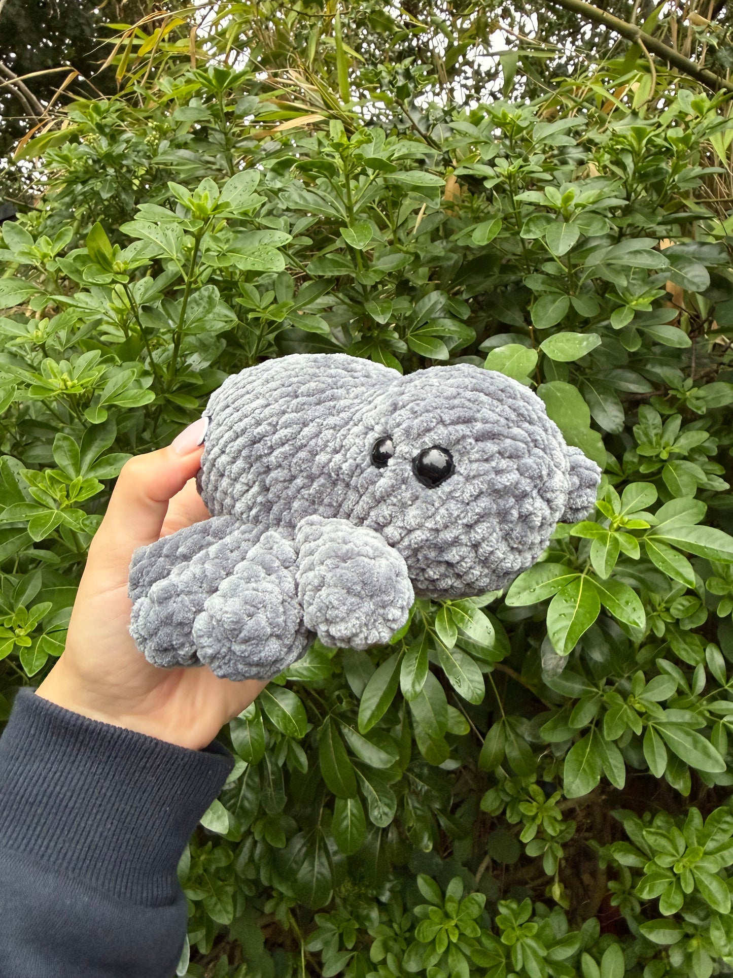 Spider Plushie - Handmade Crochet