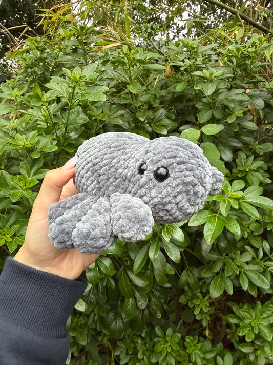 Spider Plushie - Handmade Crochet