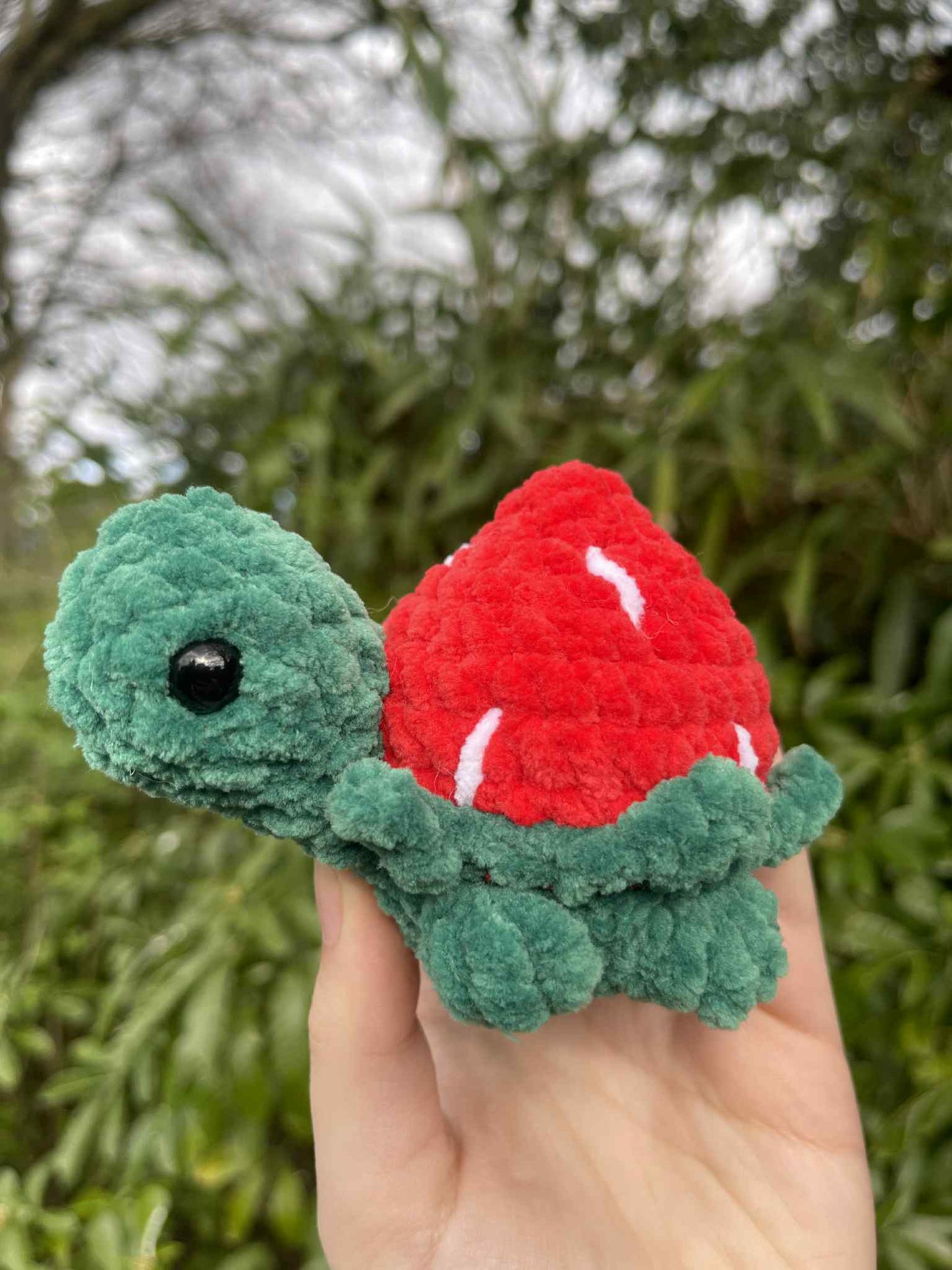 Crocheted Mini Tortoises