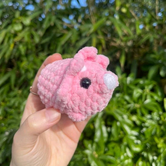 Mini Triceratops